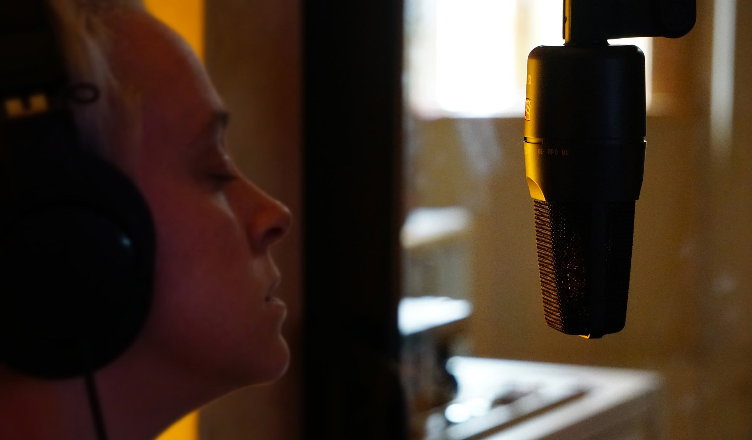 sE Electronics X1S condenser microphone